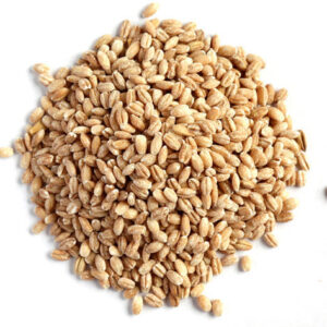 Hulled Barley